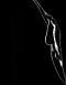 آواتار mmehrzad