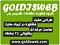 آواتار goldisweb