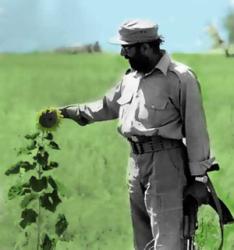 AmirHosein آواتار ها AmirHosein آواتار ها