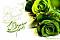 آواتار mohsenevil