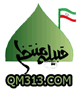 QM313 آواتار ها