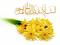 آواتار fatemeh7391