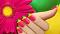 آواتار shadi4705