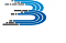 آواتار bornaweb