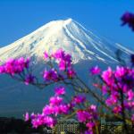 djspammer آواتار ها djspammer آواتار ها