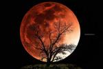 jackhaman آواتار ها jackhaman آواتار ها