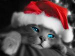 hostironi آواتار ها hostironi آواتار ها