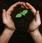 amirlord آواتار ها amirlord آواتار ها